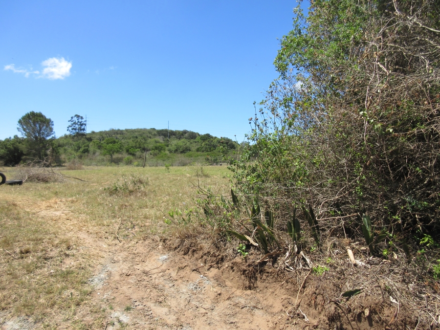 0 Bedroom Property for Sale in Bathurst Eastern Cape